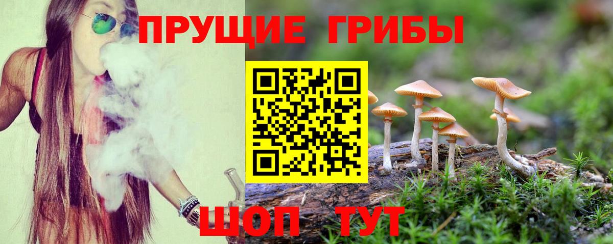 Галлюциногенные грибы Magic Shrooms  Вход с VPN  Чайковский  Галлюциногенные грибы прущие грибы 